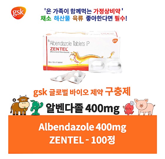 구충제 알벤다졸 400mg 100정 대용량 기생충 회충약 이버멕틴