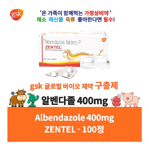 구충제 알벤다졸 400mg 100정 대용량 기생충 회충약 이버멕틴