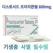 디스토시드 프라지콴텔 600mg 구충제 3박스 (24정)