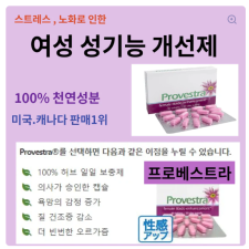 프로베스트라