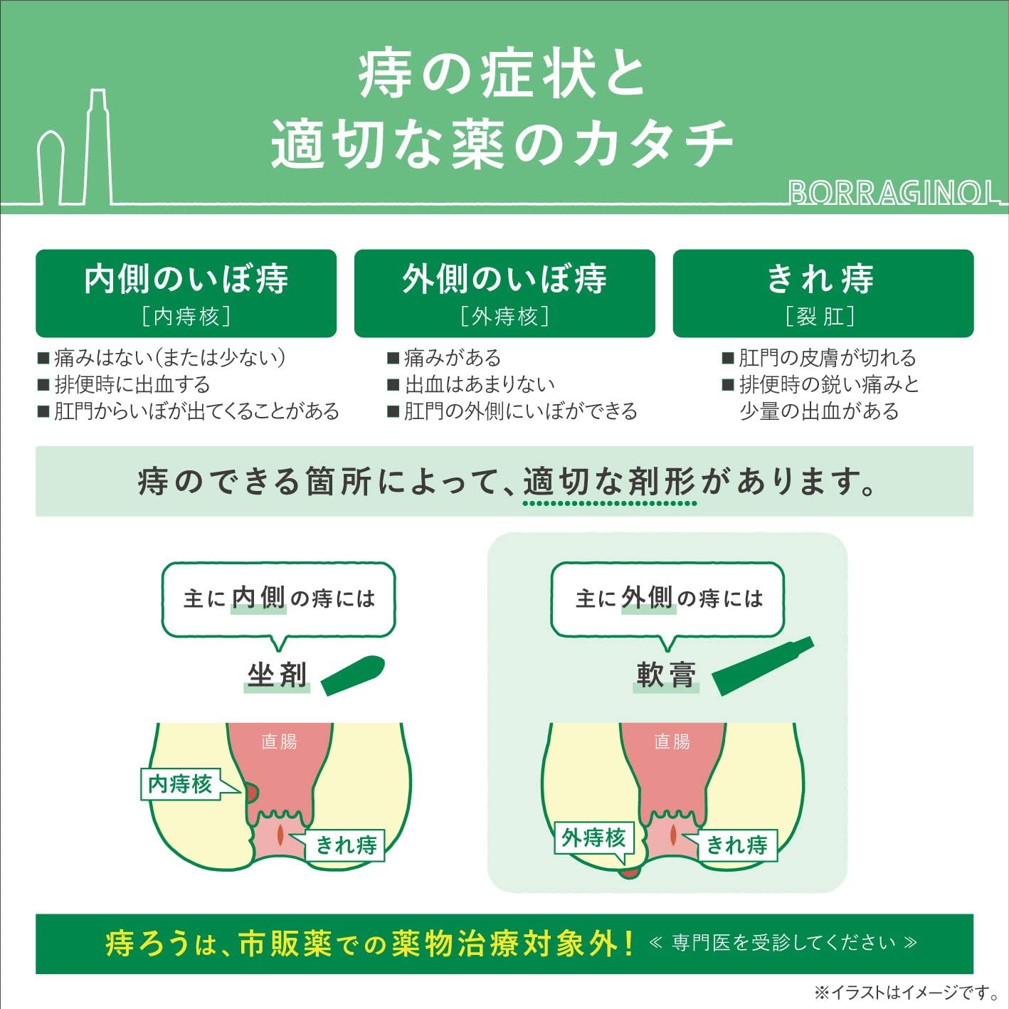 보라기놀 M 연고 20g 【2개 세트】