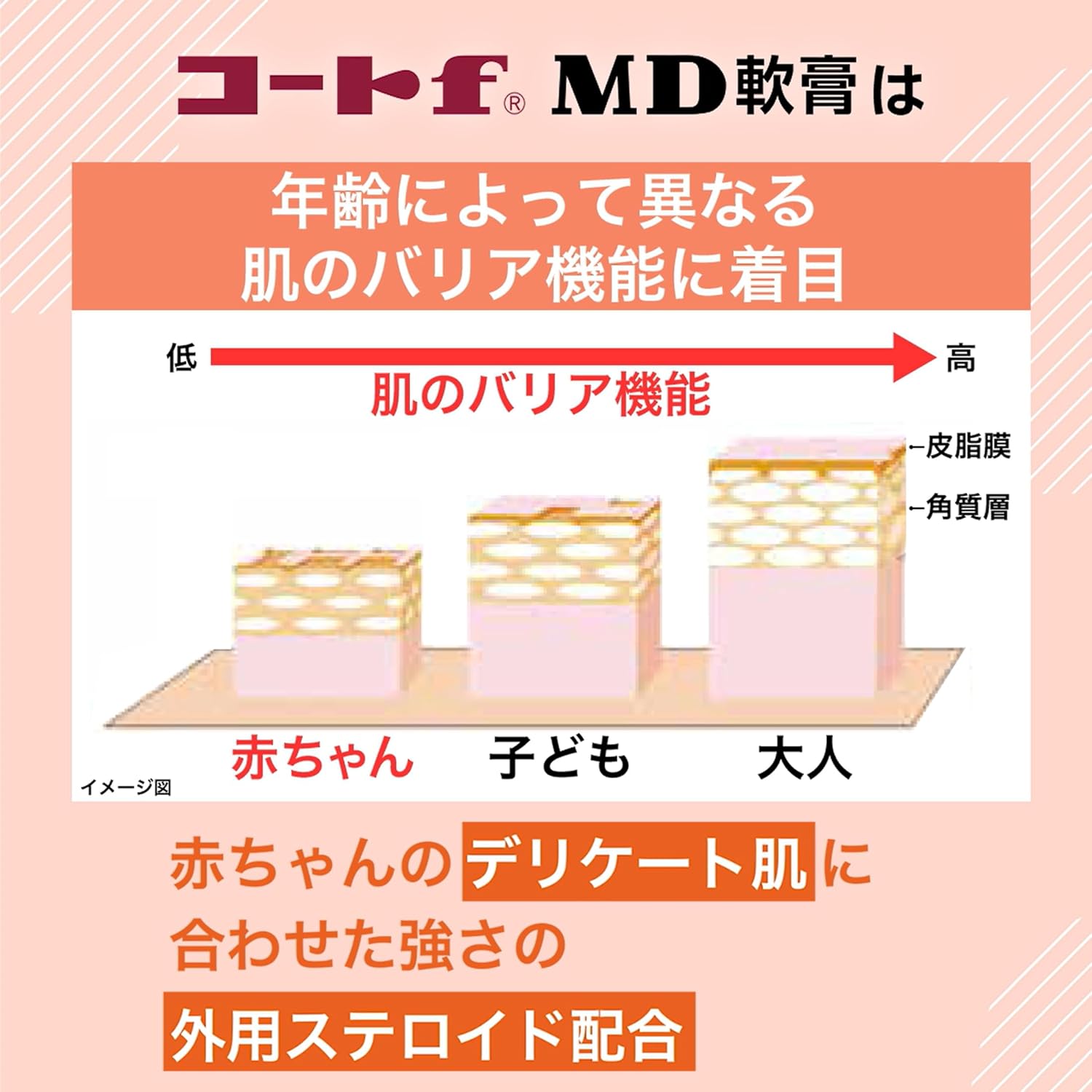 코트 f MD 연고 10g 【2개 세트】