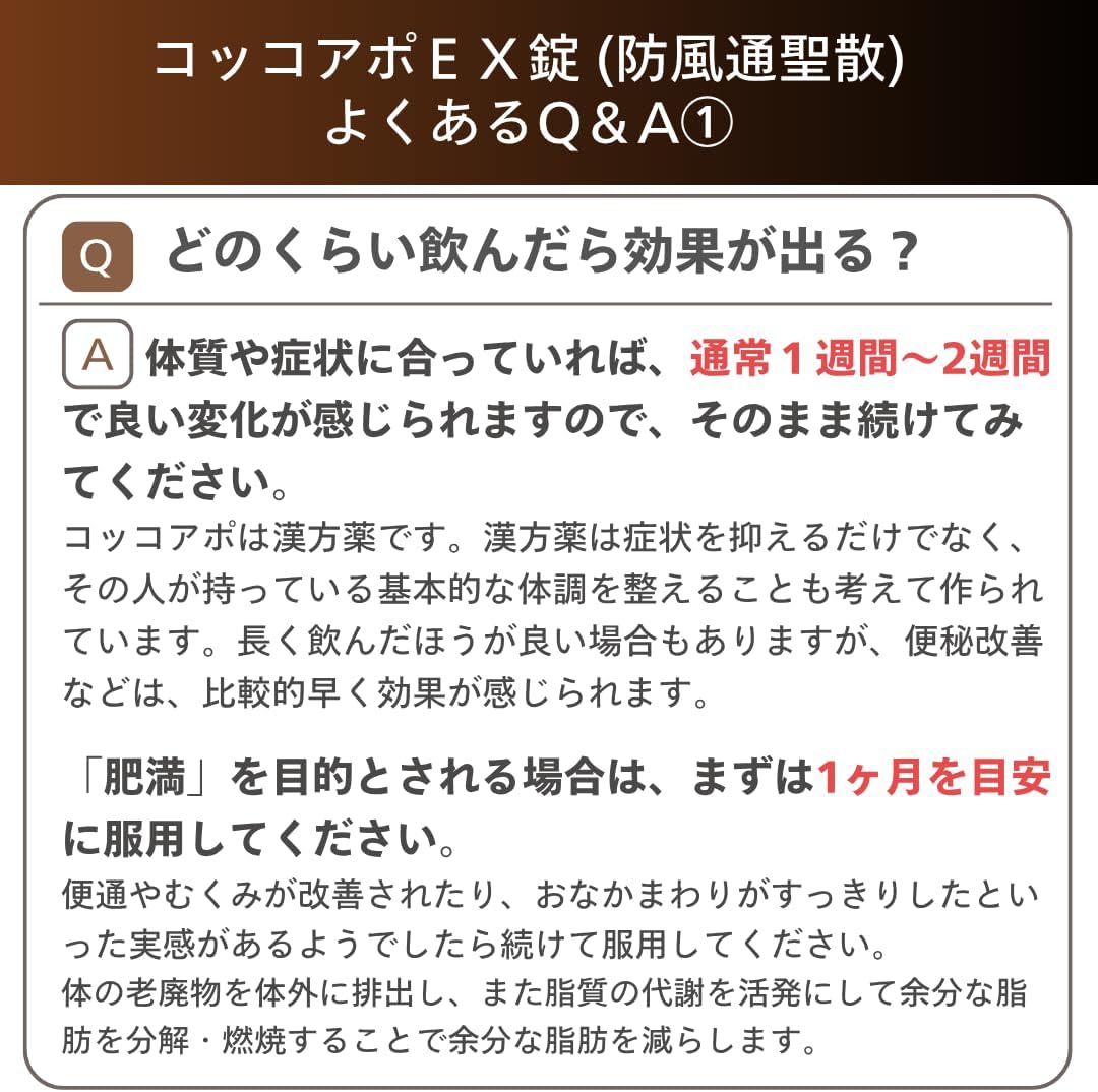 코코아포 EX정 312정