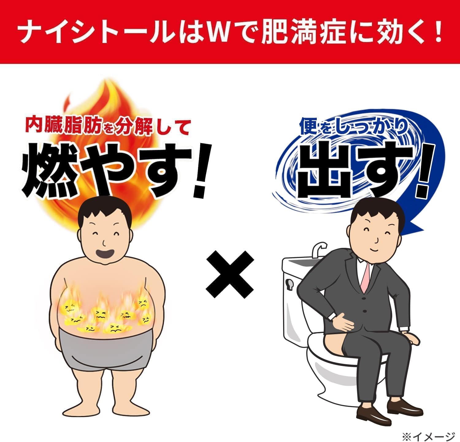나이시토루 Za 105정