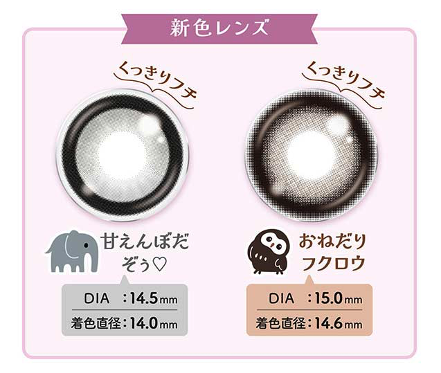 플루리 컬러렌즈 원데이 Flurry 1day 10개입 【2개 세트】