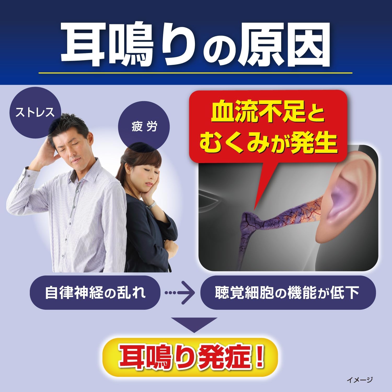 나리피탄 당귀작약산정 168정