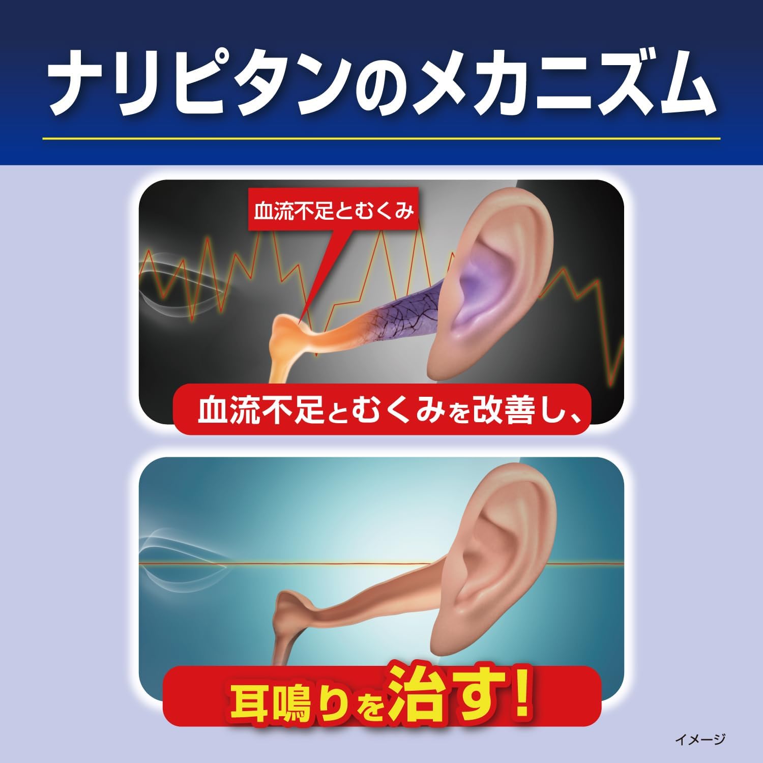 나리피탄 당귀작약산정 168정
