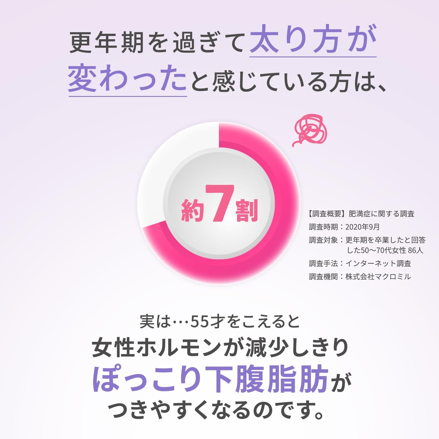 비스라트 그란 EX 방풍통성산정 252정