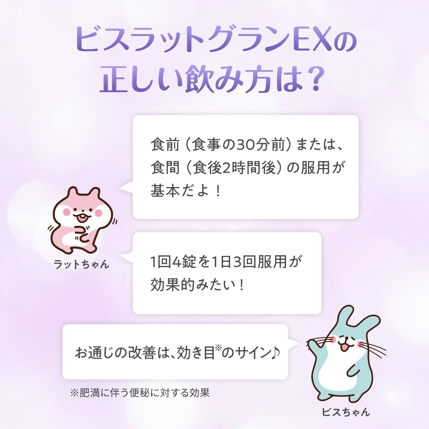 비스라트 그란 EX 방풍통성산정 252정