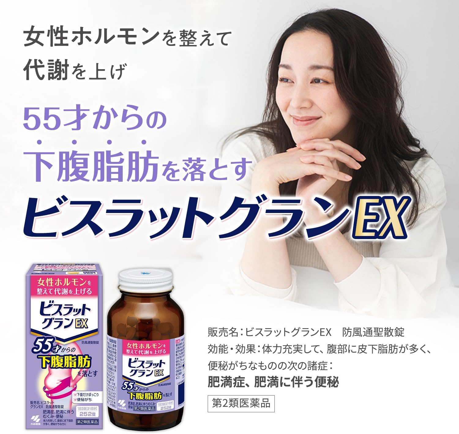 비스라트 그란 EX 방풍통성산정 252정