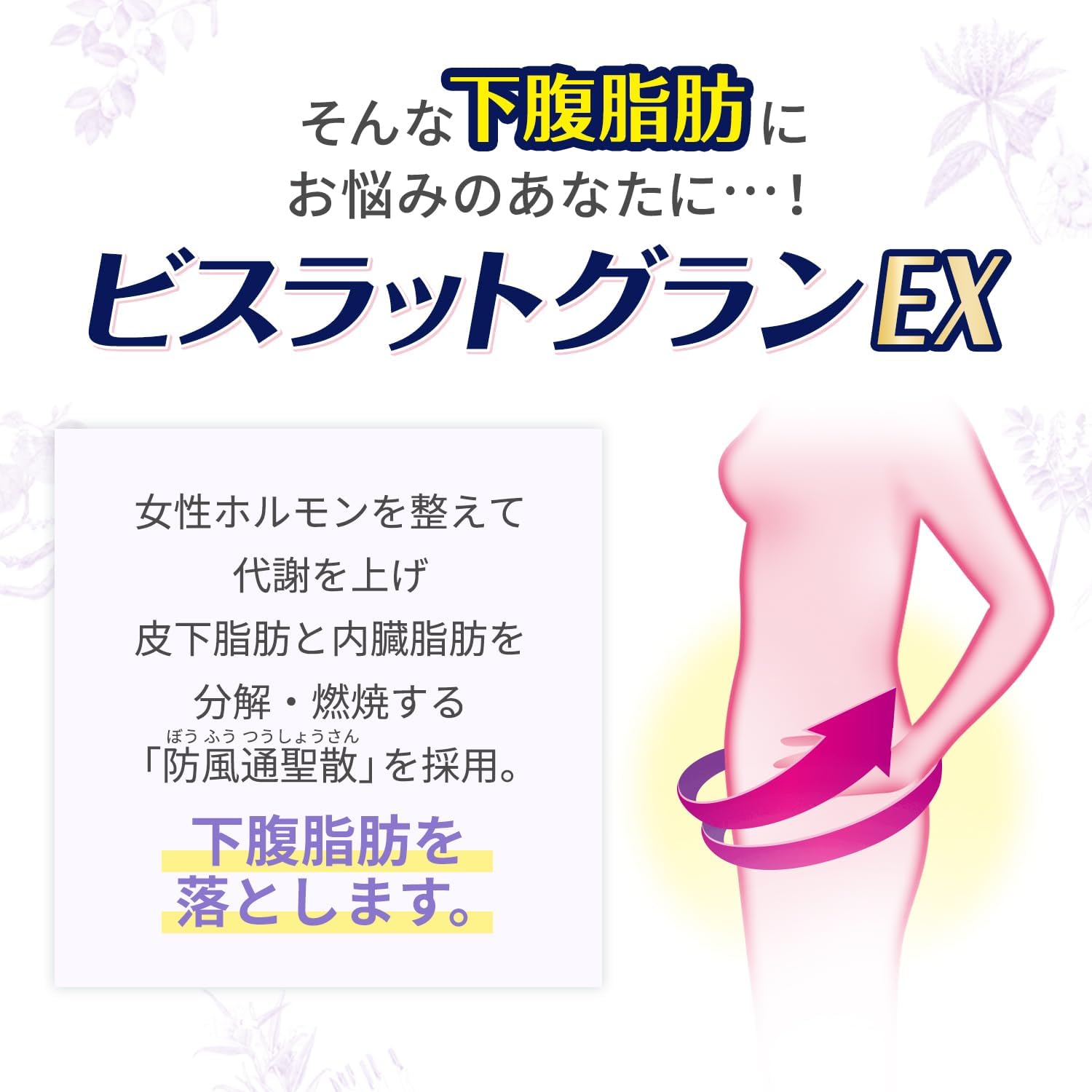 비스라트 그란 EX 방풍통성산정 252정