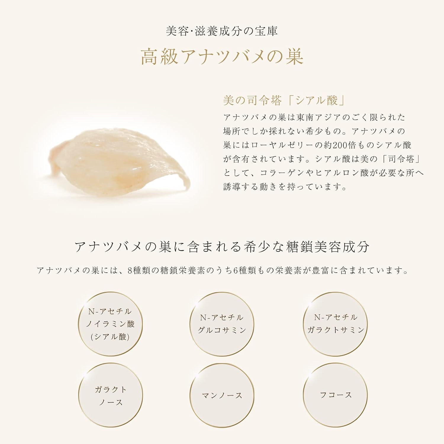 비스 제비집 페이스 크림 1개 40g