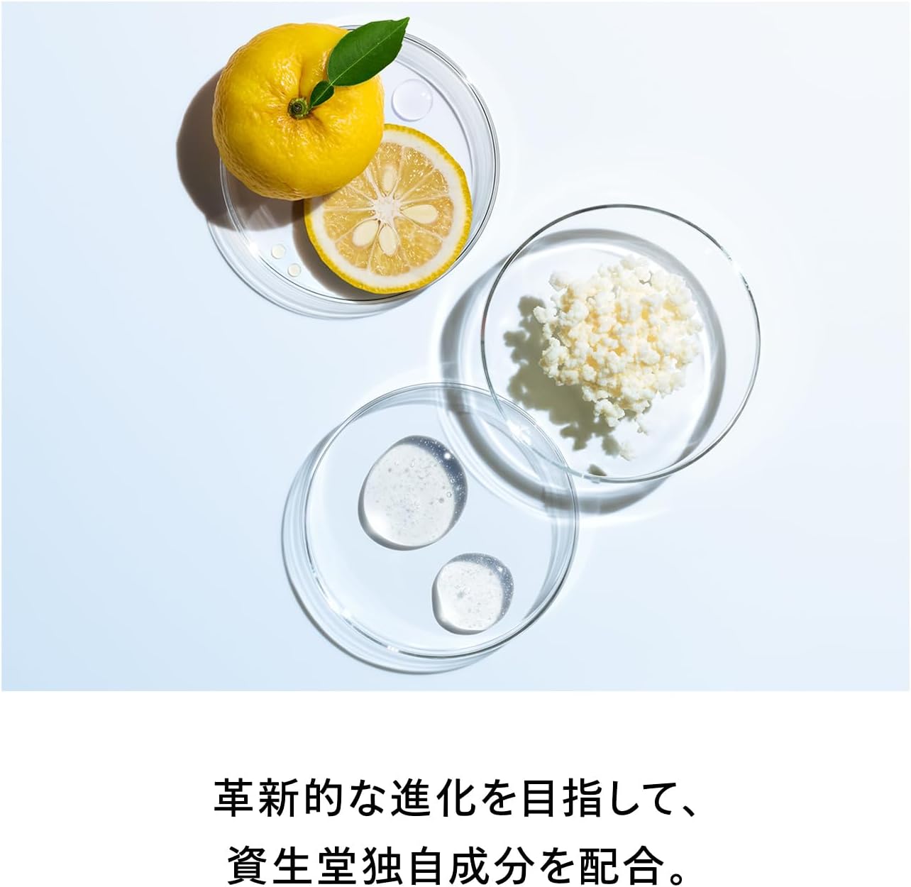 시세이도 SHISEIDO 오이델민 에센스 로션 145mL