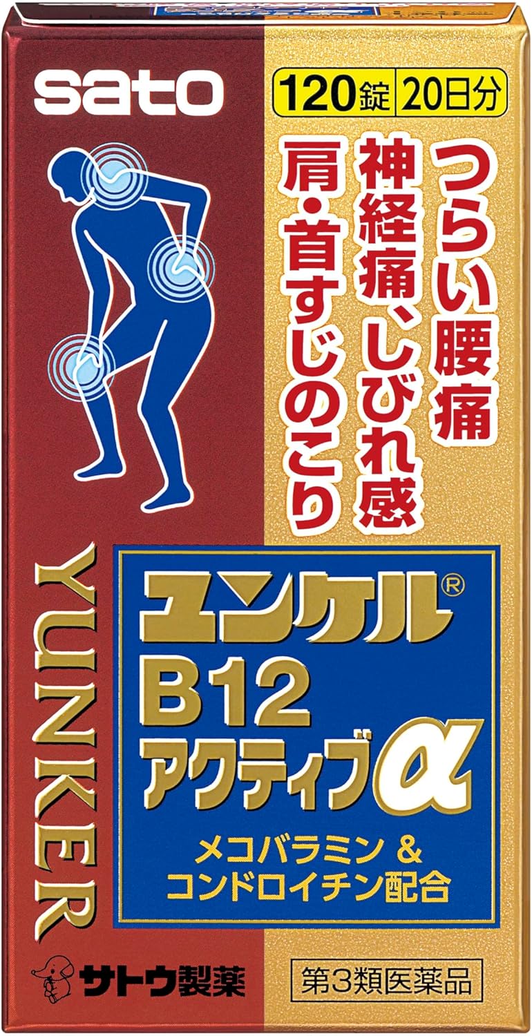 윤켈 B12 액티브 α 120정