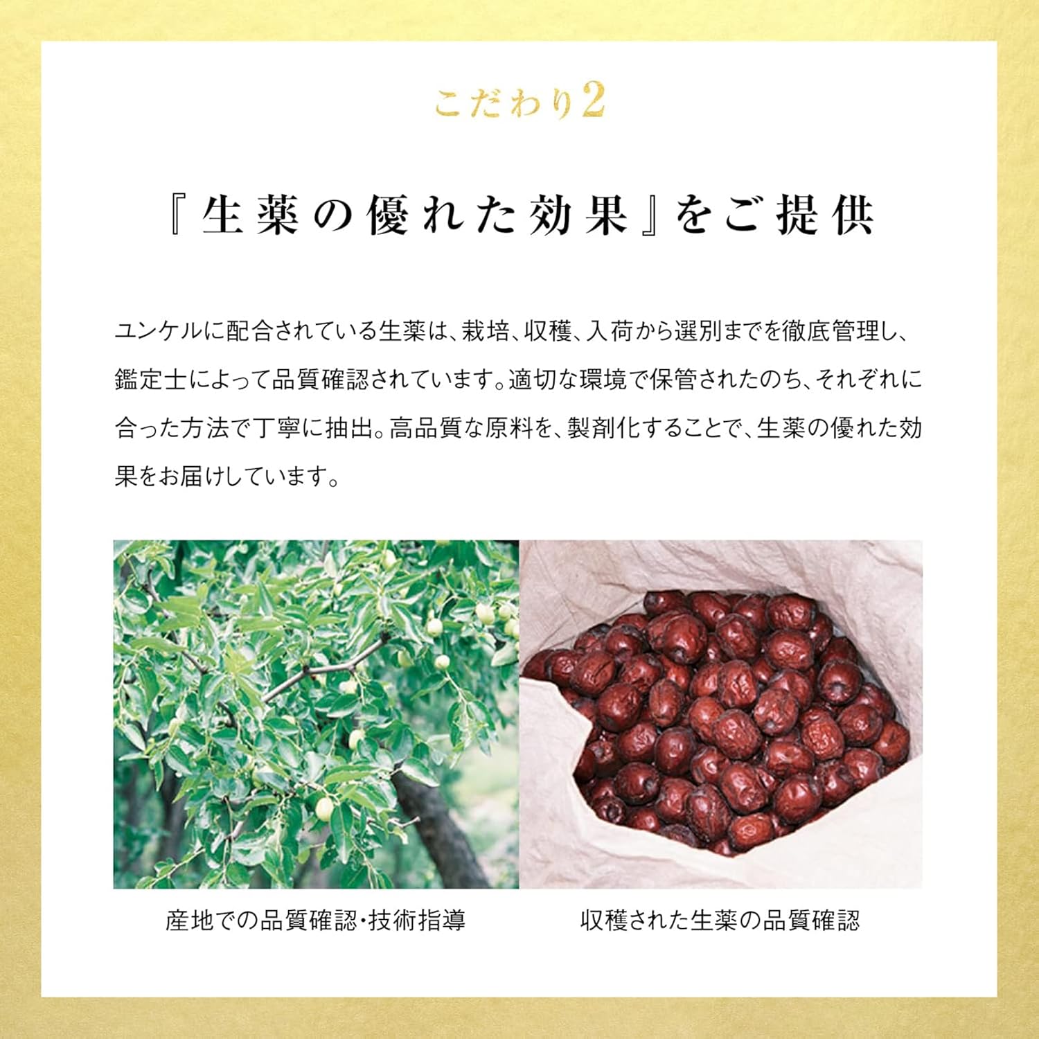 윤켈 황제 과립 DCF 16포