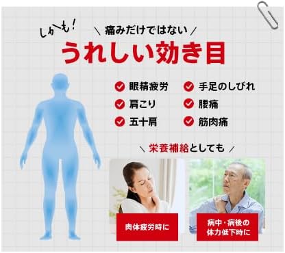 료신JV정 93정