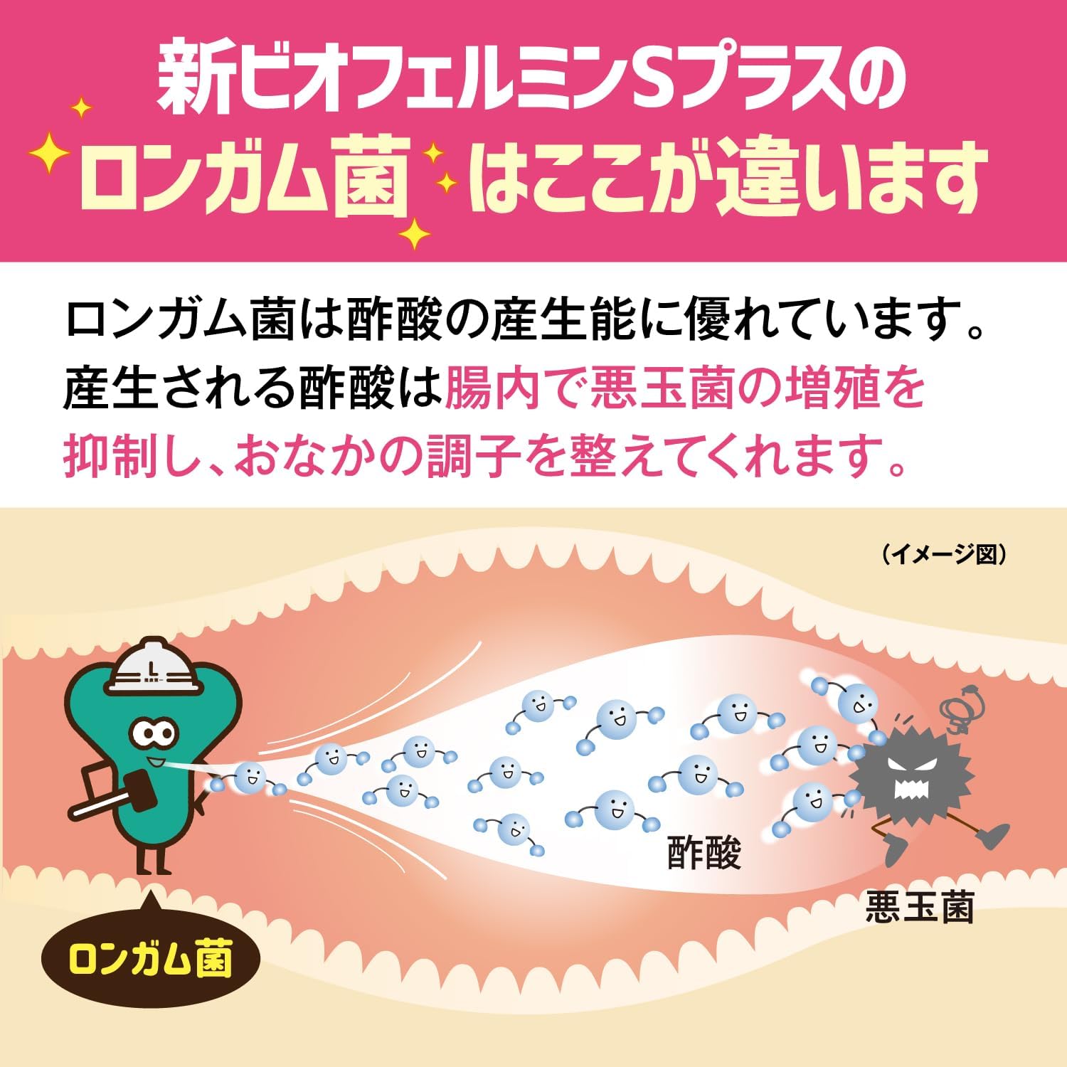 신 비오페르민 S 플러스정 550정