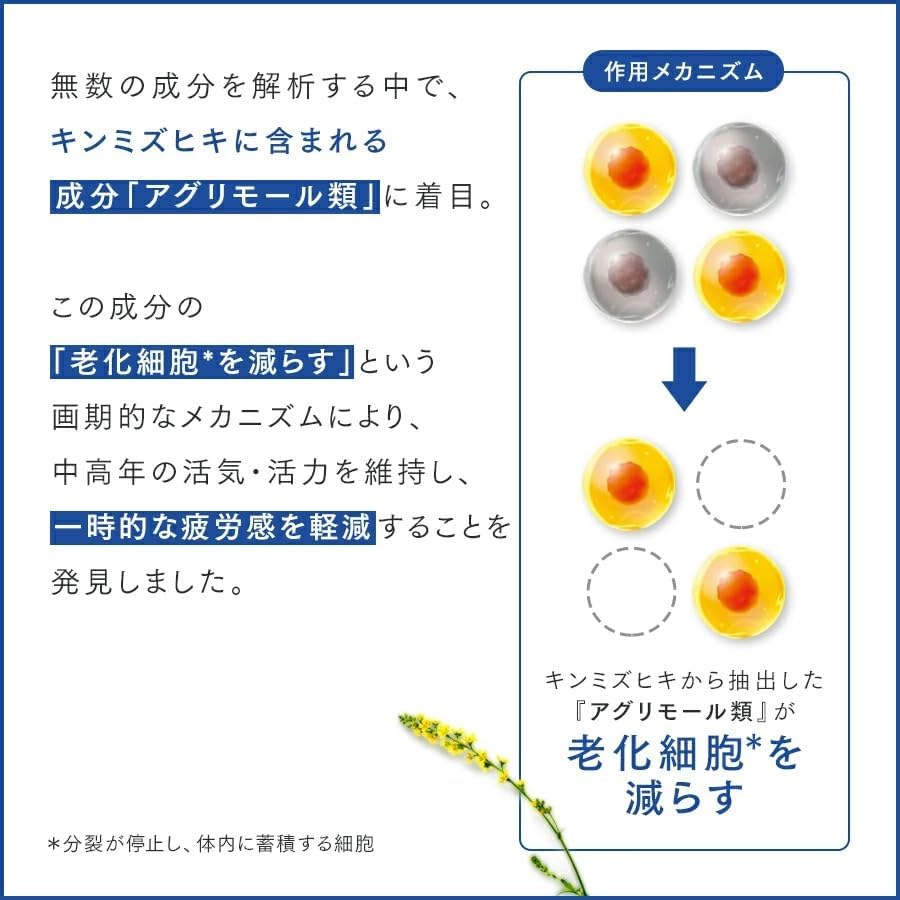 팬클 웰에이지 프리미엄 30일분