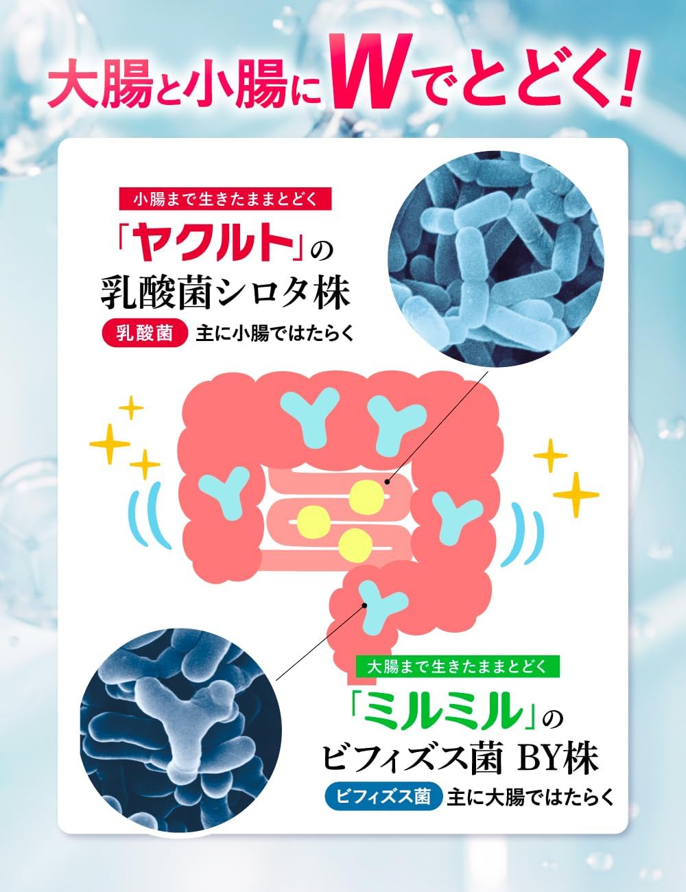 야쿠르트 멀티 프로바이오틱스 서플리먼트 15포