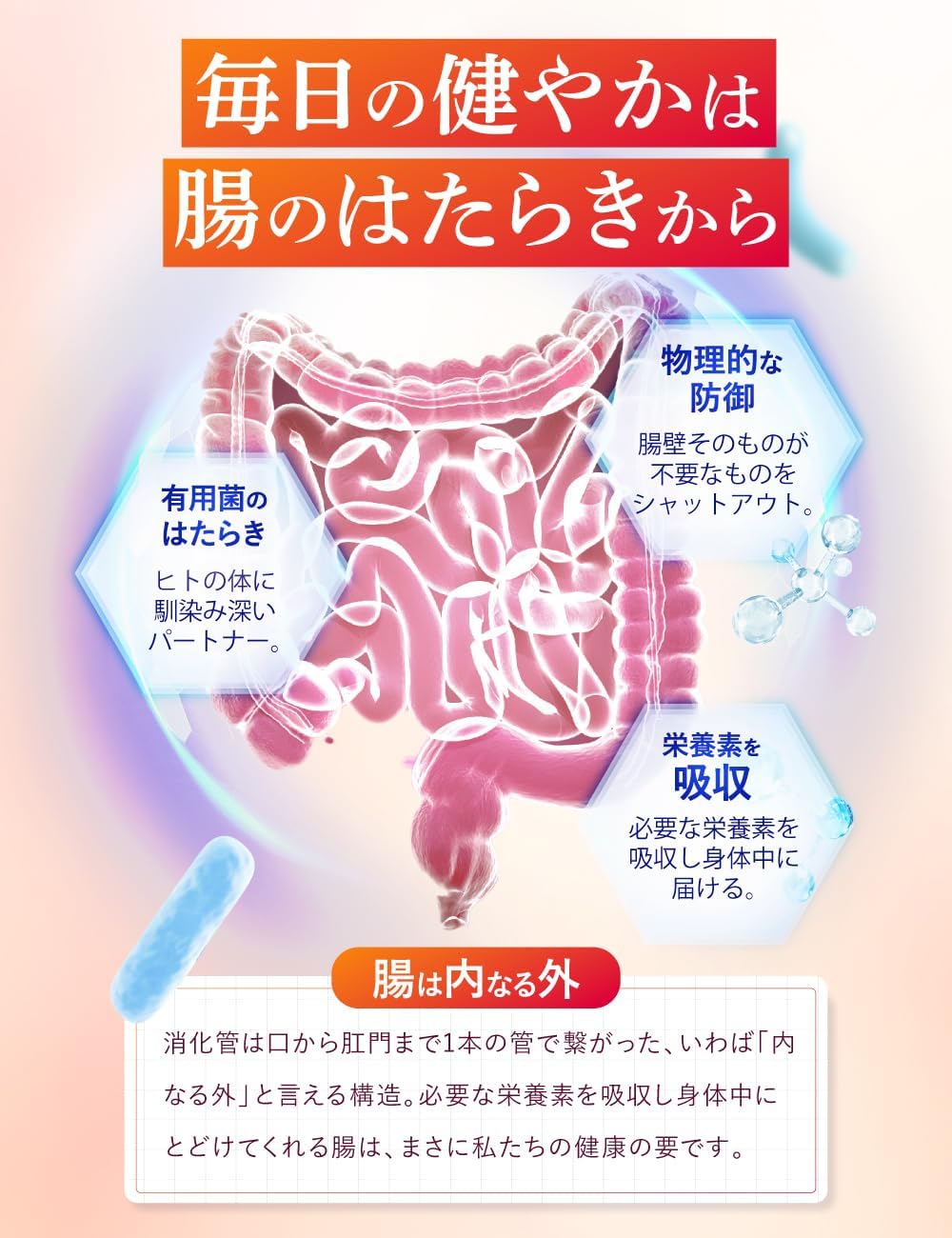 야쿠르트 멀티 프로바이오틱스 서플리먼트 15포