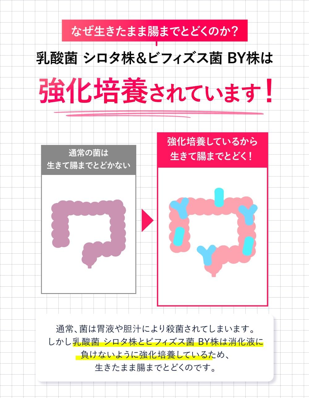 야쿠르트 멀티 프로바이오틱스 서플리먼트 15포