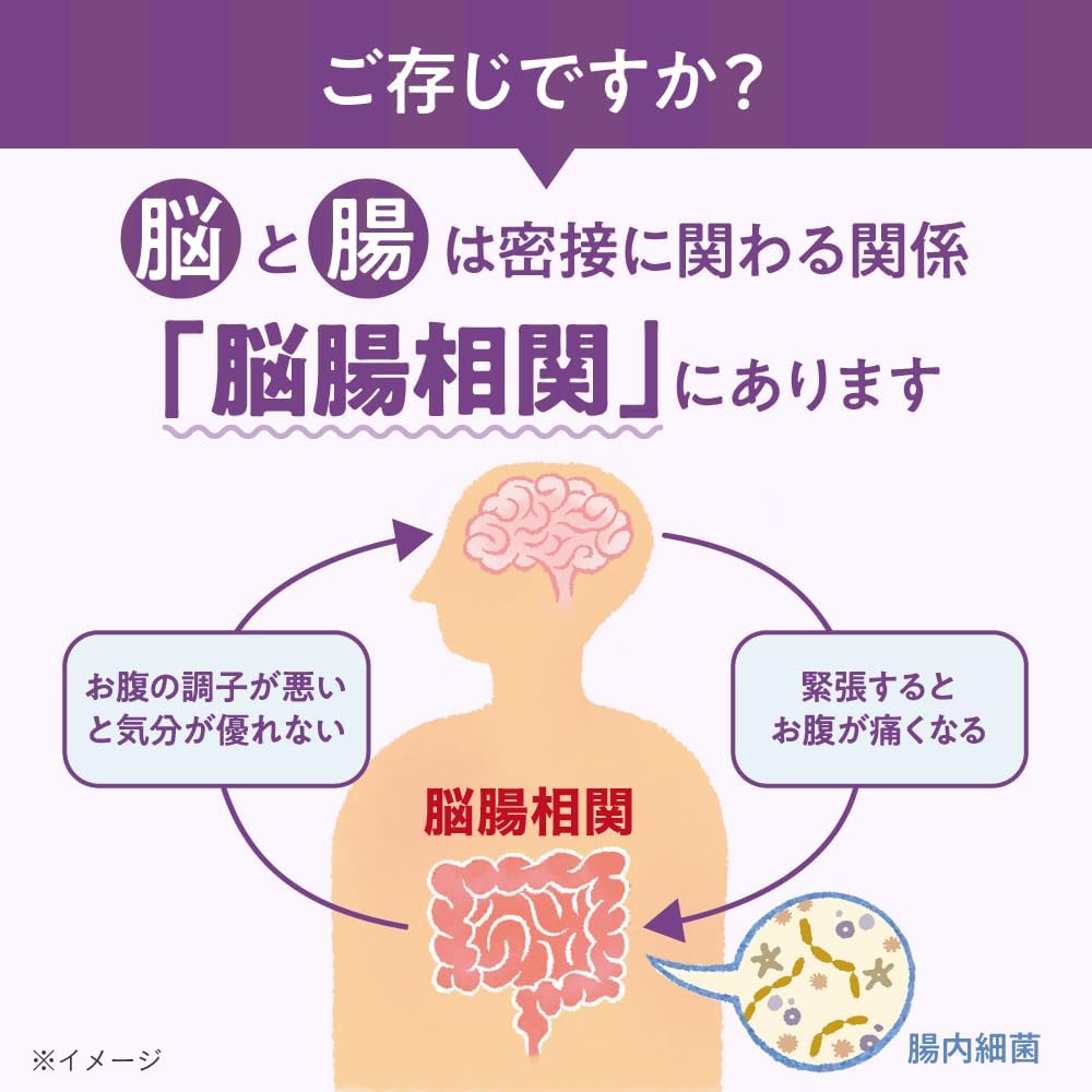 메모리 비피더스 기억력 대책 서플리먼트 30일분