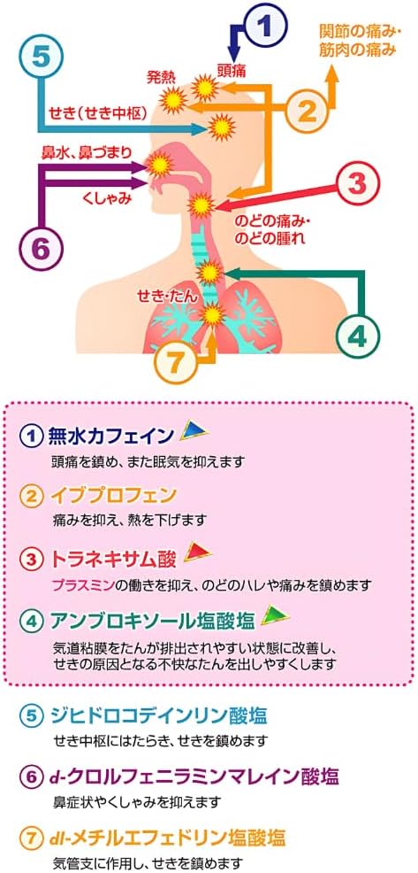 코르겐코와 IB정 TX α 45정