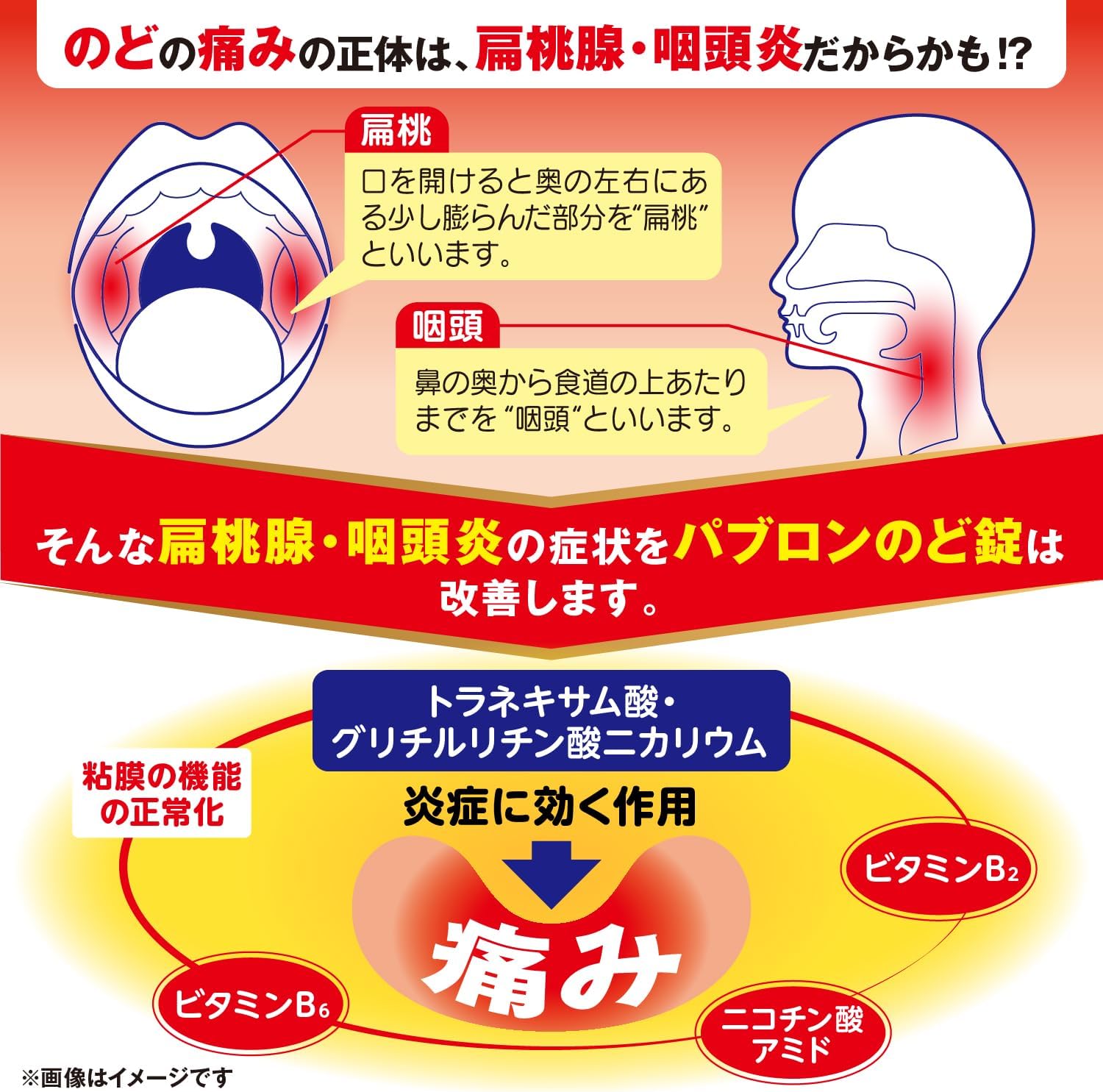 파브론 노도정 (목약) 36정
