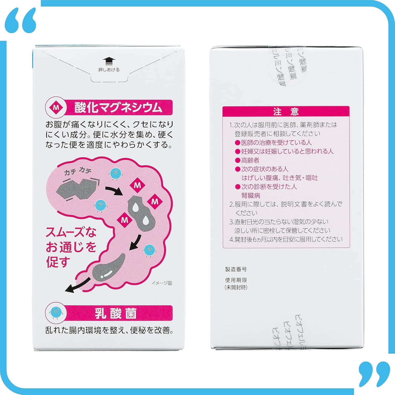 비오페르민 산화마그네슘 변비약 360정