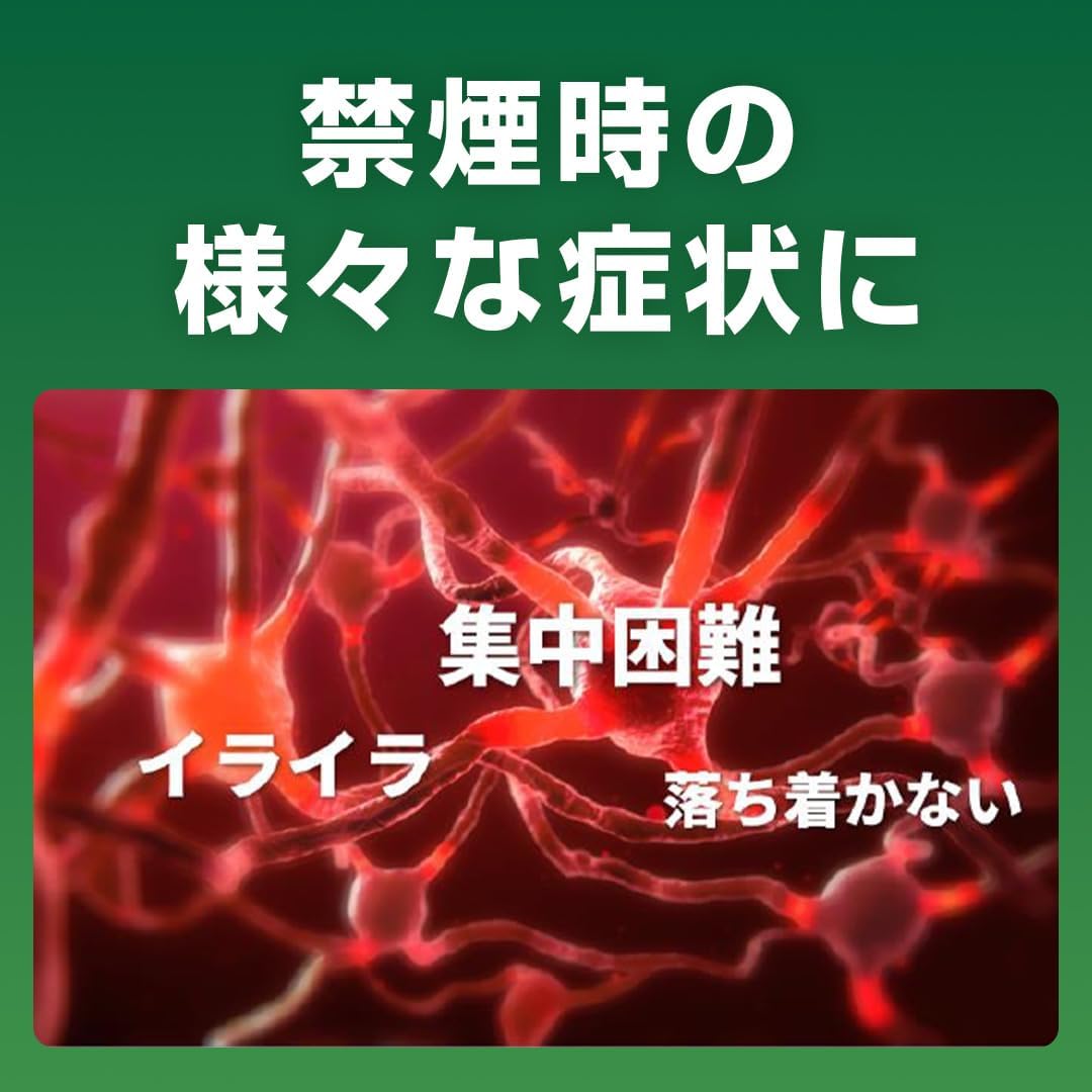 니코렛트 24개입